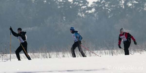 Признаться зимнему спорту в любви. Омичей зовут встать на лыжи