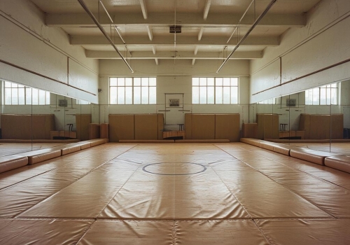 У парка 300-летия Омска хотят построить зал единоборств У парка 300-летия Омска хотят построить зал единоборств