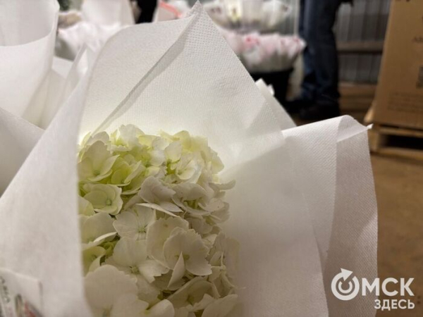 Символы загадочности и утончённости. Какие цветы заменят голландские розы и тюльпаны