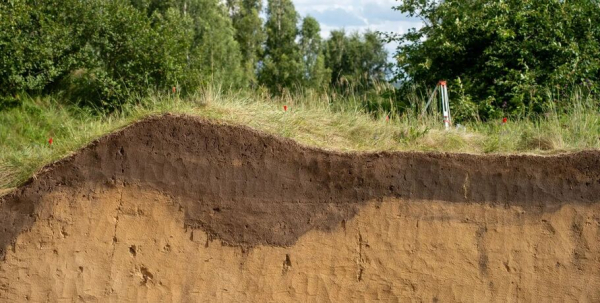 Более 600 артефактов найдено на стоянке "Черноозерье II" в Омской области этим летом Более 600 артефактов найдено на стоянке "Черноозерье II" в Омской области этим летом