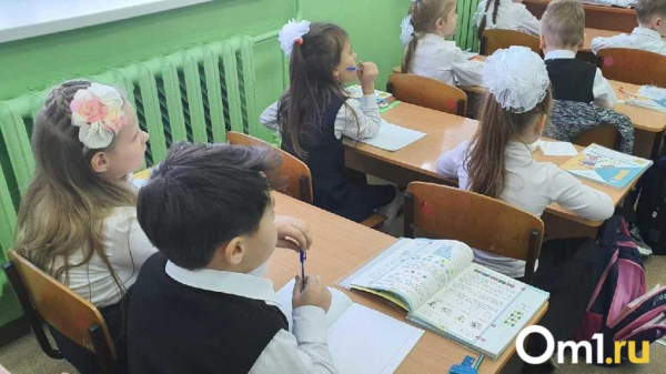 В Омской области с 31 марта стартует запись детей в первый класс