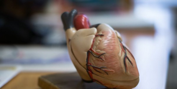 Красное вино и бесполезные витамины. Кардиолог развеивает мифы о сердце