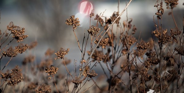 За ночь в Омске похолодает на 10 градусов