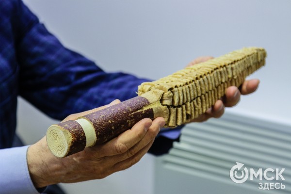 Розги для счастья. Психолог о необычном методе лечения