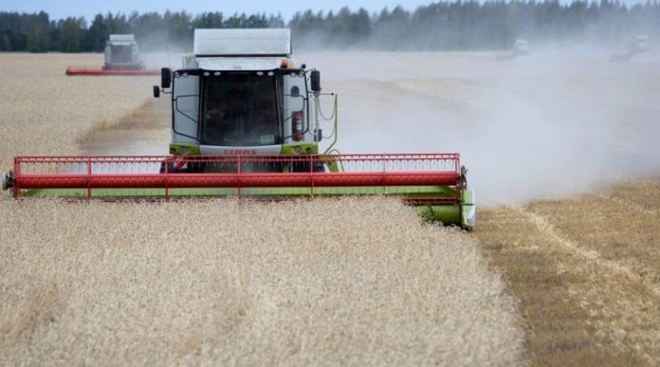 Омские власти собирают с фермеров по миллиону рублей для новосибирской компании