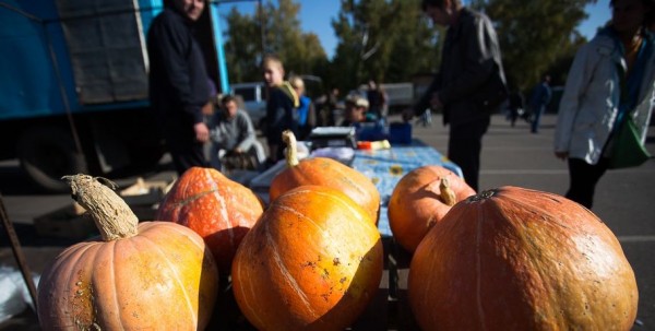 Омские садоводы смогут продать урожай на ярмарке у "Континента" Омские садоводы смогут продать урожай на ярмарке у "Континента"