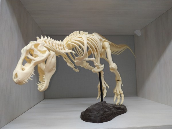 Омич завёл себе дома динозавра