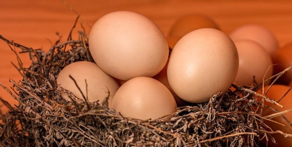 Круче только яйца. Развеиваем мифы о популярном продукте