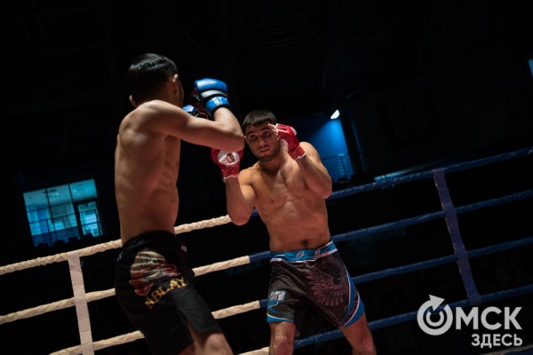 От тхэквондо до MMA: в Омске завершился Фестиваль единоборств