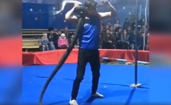 Мертвый сельский крокодил: защита диких животных в России провалилась