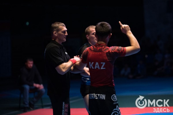 От тхэквондо до MMA: в Омске завершился Фестиваль единоборств