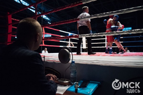 От тхэквондо до MMA: в Омске завершился Фестиваль единоборств