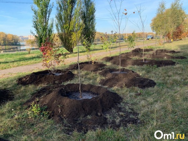 Оксана Фадина вместе с горожанами убирала территорию «Зеленого Острова» Оксана Фадина вместе с горожанами убирала территорию «Зеленого Острова»