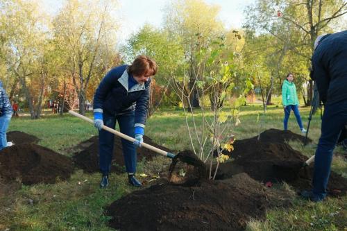 В парке «Зеленый Остров» субботник прошёл с музыкой и пирогами
