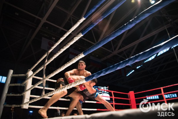 От тхэквондо до MMA: в Омске завершился Фестиваль единоборств