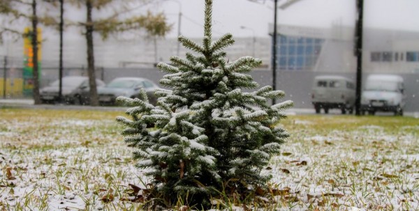 Октябрь в Омске закончится снежно и ветрено