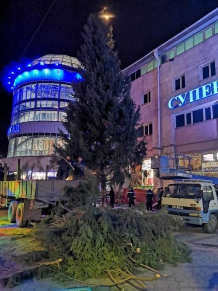 В Омске перед потеплением установили новогоднюю ель