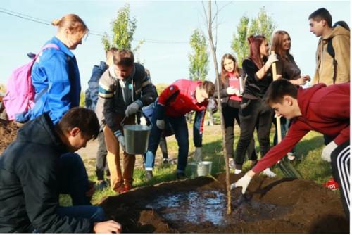 В парке «Зеленый Остров» субботник прошёл с музыкой и пирогами