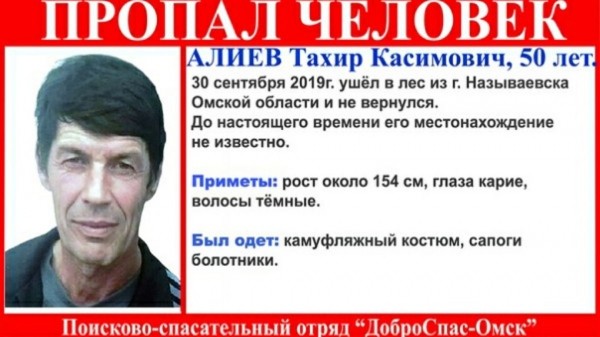 Пропавшего омича в лесу будут искать добровольцы