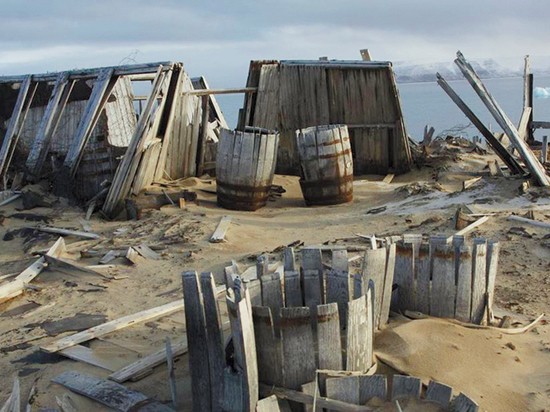 Вкус столетнего кофе, найденного в Арктике, описал путешественник