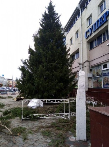 В Омске перед потеплением установили новогоднюю ель