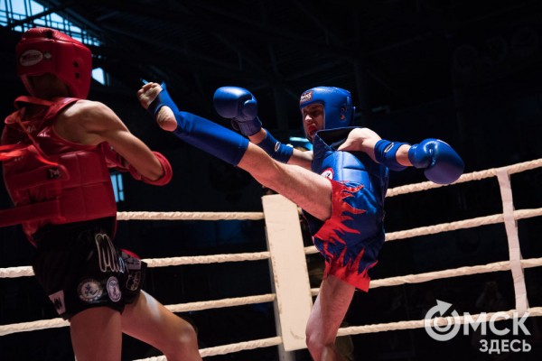 От тхэквондо до MMA: в Омске завершился Фестиваль единоборств