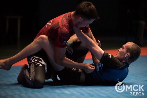 От тхэквондо до MMA: в Омске завершился Фестиваль единоборств