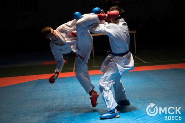 От тхэквондо до MMA: в Омске завершился Фестиваль единоборств