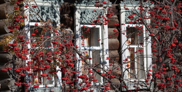 В России может появиться "сельская ипотека"