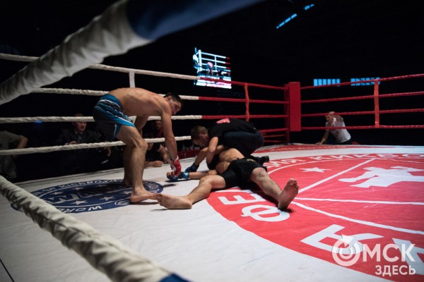 От тхэквондо до MMA: в Омске завершился Фестиваль единоборств