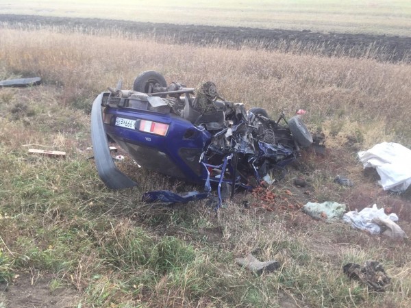 Под Омском автомобиль врезался в дерево: есть пострадавшие