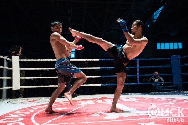 От тхэквондо до MMA: в Омске завершился Фестиваль единоборств