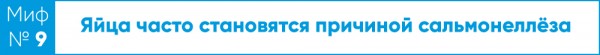 Круче только яйца. Развеиваем мифы о популярном продукте