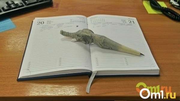 Иван Колесник: «Массовый спорт в Омске: миф или реальность?»