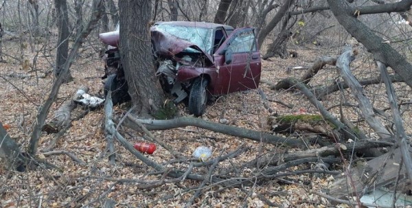 Под Омском автомобиль врезался в дерево: есть пострадавшие