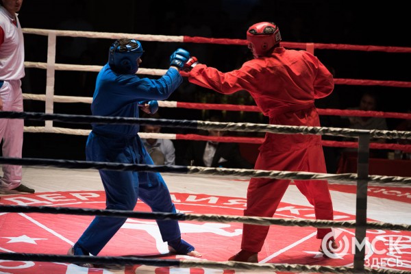 От тхэквондо до MMA: в Омске завершился Фестиваль единоборств