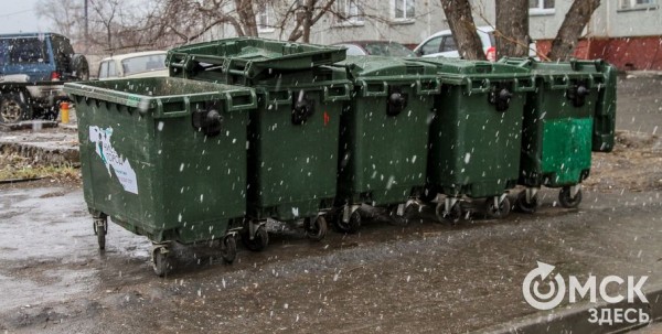 Для каждого города России могут ввести свой норматив на мусор