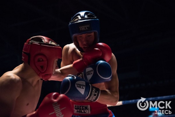 От тхэквондо до MMA: в Омске завершился Фестиваль единоборств