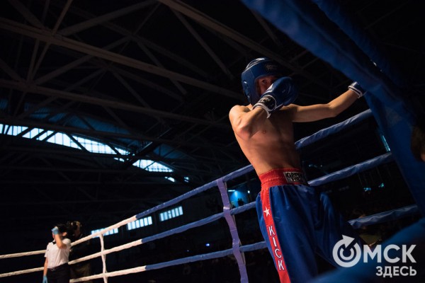 От тхэквондо до MMA: в Омске завершился Фестиваль единоборств