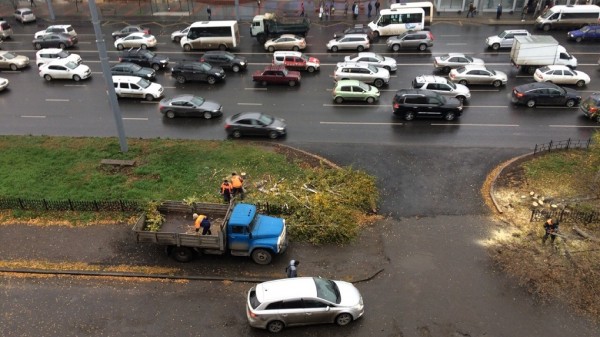 На самой загазованной площади Омска спилили деревья