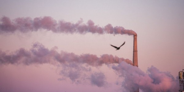 Экологическую обстановку в Омске признали непростой