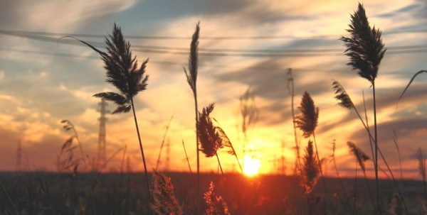 Бабье лето в Омске. Обзор соцсетей