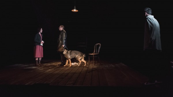 Орфей спускается в ад: белые журавли и безысходность Уильямса