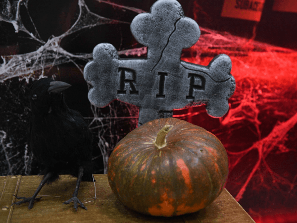 Дубль Бека и фантастический третий период! «Авангард» обыграл «Динамо» Мск перед перерывом
Дубль Бека и фантастический третий период! «Авангард» обыграл «Динамо» Мск перед перерывом