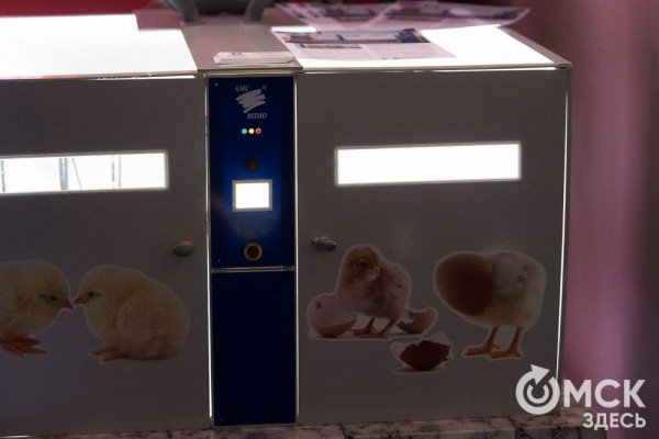 Предприятия Казахстана будут платить налоги в Омске