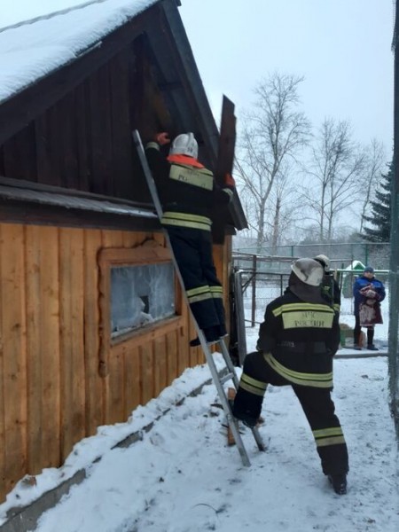Большереченский страус выжил в пожаре
