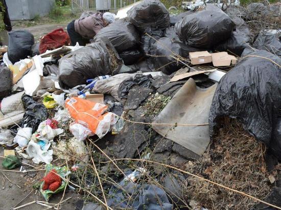 Омские СНТ оштрафовали за неправильное обращение с отходами