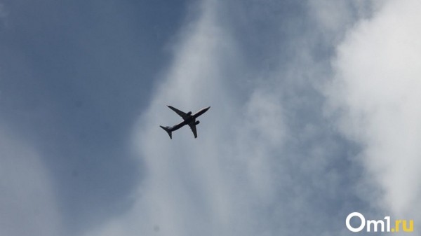 Летевший в Москву из Омска самолет покружил над городом и сел в аэропорту