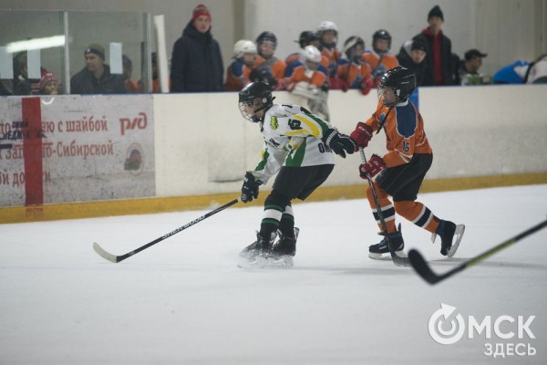 Скрестить клюшки! В Омске открылся сезон детского дворового хоккея Скрестить клюшки! В Омске открылся сезон детского дворового хоккея