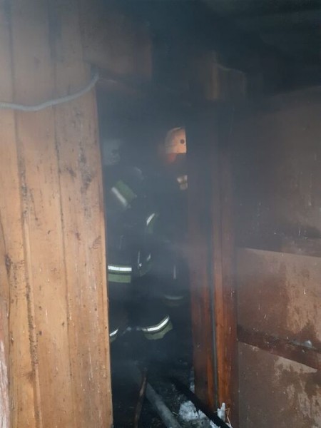 Большереченский страус выжил в пожаре